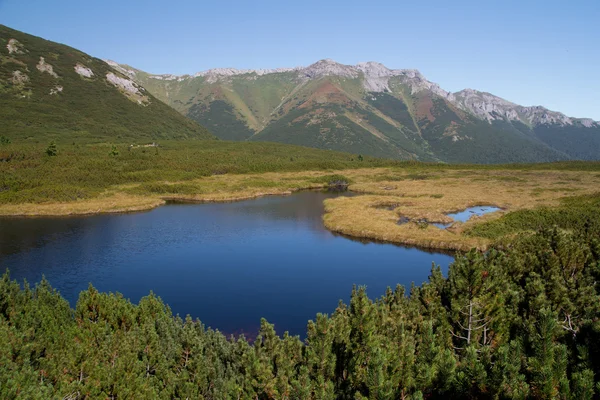 Горное озеро в высоких татрах летний пейзаж — стоковое фото