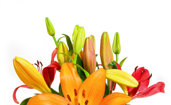 orange lilies flower bouquet isolated