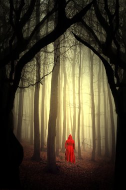 Картина, постер, плакат, фотообои "женщина в заколдованном лесу
", артикул 78861332