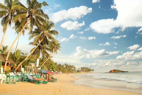 A kókusz fák trópusi paradicsomban beach — Stock Fotó