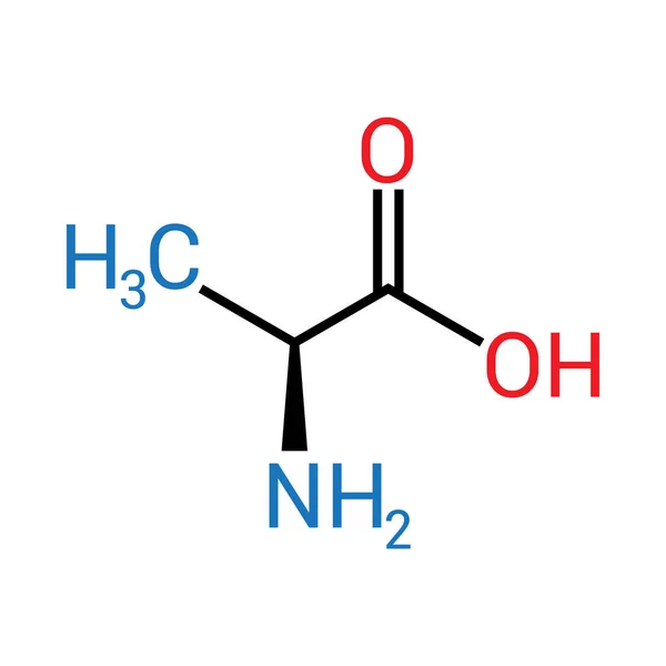 丙氨酸 C3H7No2 的化学结构 — 图库矢量图片