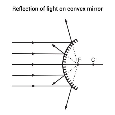 Dışbükey aynadaki ışığın yansıması