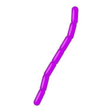 Streptobacillus moniliforis Gram-negatif çubuk şekilli bakteri