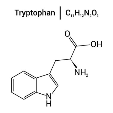 triptofanın kimyasal yapısı (C11H12N2O2)