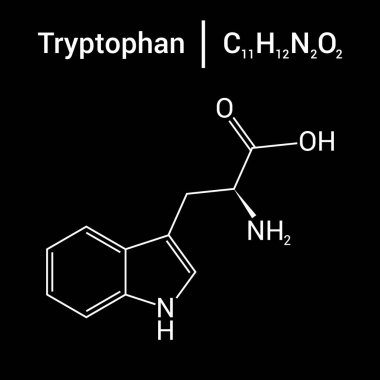 triptofanın kimyasal yapısı (C11H12N2O2)