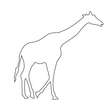 Beyaz arkaplanda zürafa silueti vektörü