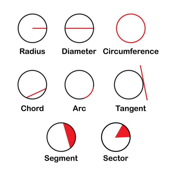 Las Partes Del Círculo Sobre Fondo Blanco — Vector de stock