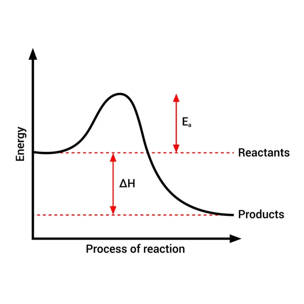 Energía Activación Diagrama Reacción Endotérmica — Vector de stock
