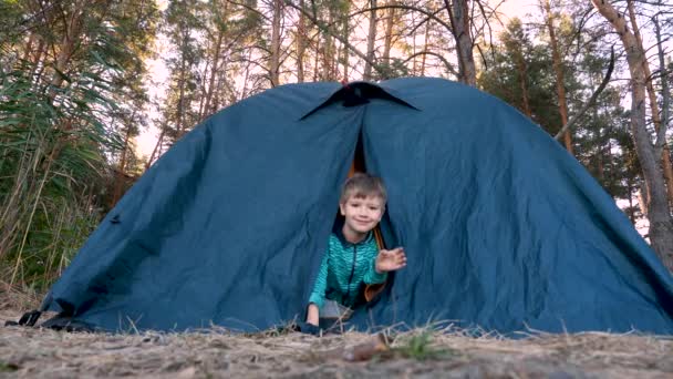 Menino sorrindo amigável na caminhada local perto de acampamento verde em eco viagem de repente mostrar língua na criança bonito rosto. Criança se divertindo na natureza na barraca fazendo rostos desfrutar da vida no fim de semana ativo na floresta — Vídeo de Stock