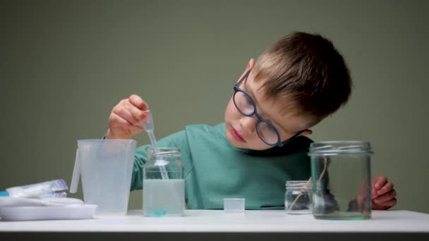 Χαριτωμένο αγόρι χρησιμοποιεί πιπέττα στο εργαστήριο χημείας στο τραπέζι των μαθητών. Παιδί που κάνει χημική έρευνα στο εργαστήριο πιπέττας στο σπίτι. Ενδιαφέρουσα ανάπτυξη παιδιών της επιστήμης. Έξυπνος επιστήμονας που κάνει πειράματα. — Αρχείο Βίντεο