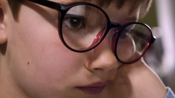 Niño inteligente con gafas que estudia en la computadora de cerca niños cara usando Internet. Estudio de niño en el portátil. Vista de cerca del niño enfocado con gafas mirando en la pantalla tarea de la computadora niño — Vídeos de Stock