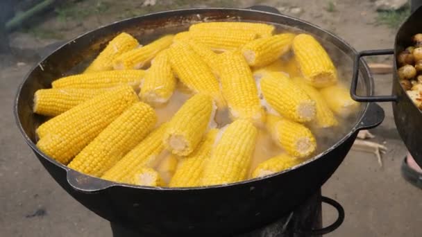 Vegan meal. Food outdoor cooking pan fried vegetables. Boiled corn cooked vegetables grill cooking in kitchen street food festival. Bell peppers fried in a large frying pan with potatoes and mushrooms — Vídeo de Stock