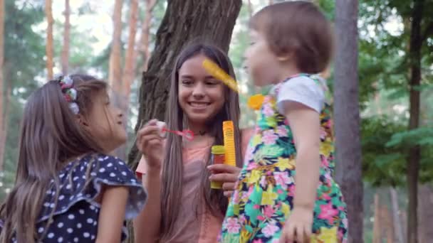 Schönheit Mädchen Blasen Seifenblasen Kinder Kommunikation Kinder Freunde draußen spielen. Viel Spaß haben Mädchen unterschiedlichen Alters, die im Park mit Seifenblasen spielen. Schwesterlich. Schwestern spielen lustiges Spiel im Park — Stockvideo