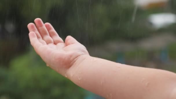 Erkek eline düşen yağmur damlaları doğaya dokunur. Pencereden yağan yağmurlu havada yağan el damlaları yakındır. Kötü hava pencerenin dışında, yağmur altında su damlaları. Avuç içlerine düşen yağmur damlaları — Stok video