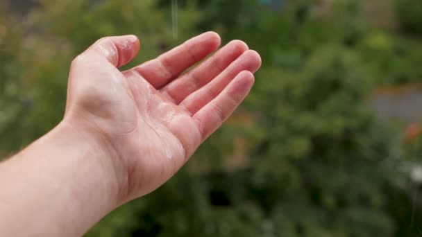 Tempo chuvoso através da janela chuva mão cair gotas de perto. Mau tempo fora mão janela sob chuva gotas de água dia. Apanhar gotas de chuva a cair da palma. Queda de chuva cai para a mão masculina toque natureza — Vídeo de Stock