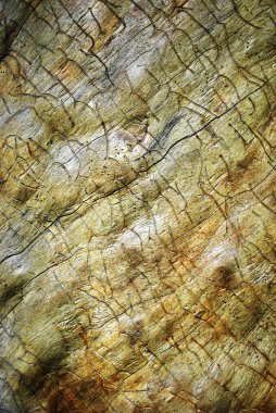 Ahşap tahta Panel plakalar Grunge arka plan rengi