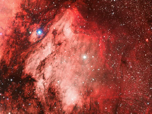 Nebulosa pelícana Imagen de archivo