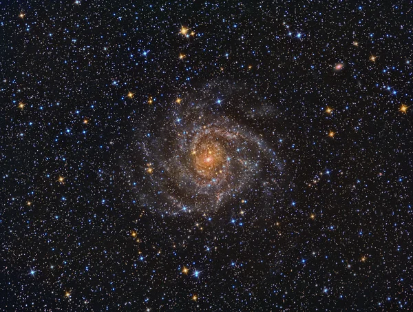 IC342 Spiral Galaxy — Stock Photo, Image