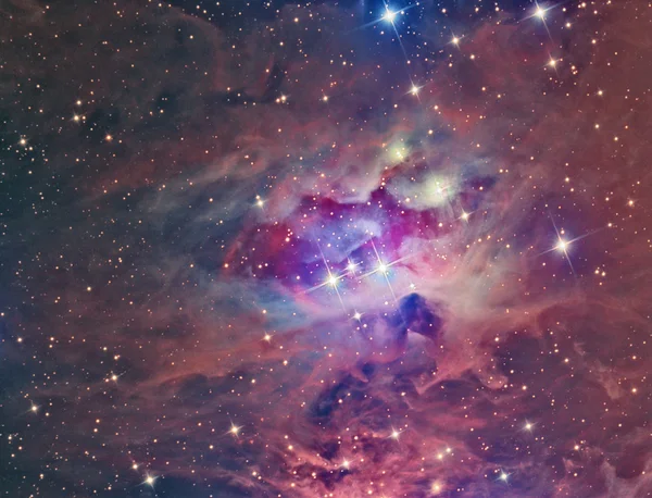 NGC 1973 працює людина туманність — стокове фото