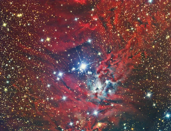 Ngc 2264 圣诞树星团及状星云 — 图库照片