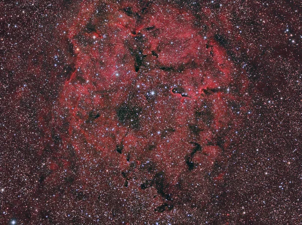 IC1396 Nebulosa del tronco del elefante —  Fotos de Stock