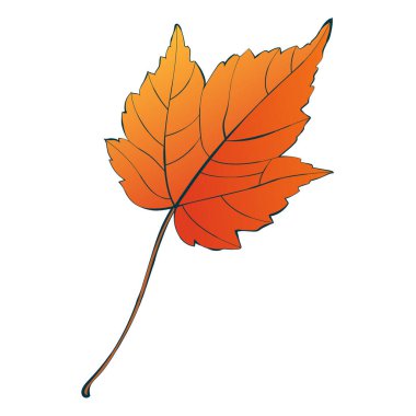 Beyaz arka planda turuncu sonbahar akçaağaç yaprağı izole edilmiş. Basit çizgi film düz biçim vektör çizimi.