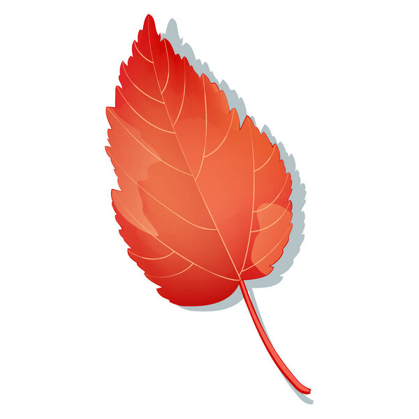 Red autumn maple leaf isolated on white background. Simple cartoon flat style vector illustration.