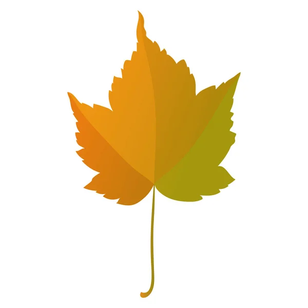 Осенний Кленовый Лист Выделен Белом Фоне Простая Векторная Иллюстрация Стиле — стоковый вектор