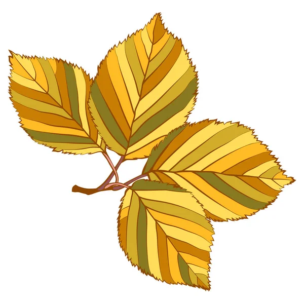 金の秋の葉を持つエルムの枝は白い背景に孤立しています シンプルな漫画のフラットスタイルのベクトルイラスト — ストックベクタ