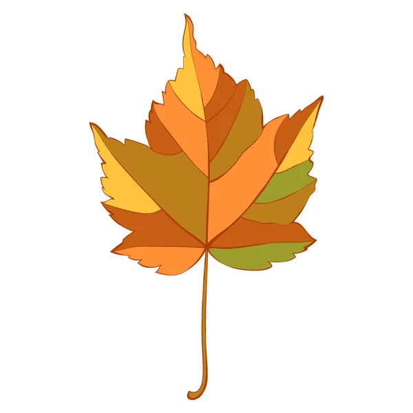 Feuille Érable Automne Colorée Isolée Sur Fond Blanc Illustration Vectorielle — Image vectorielle