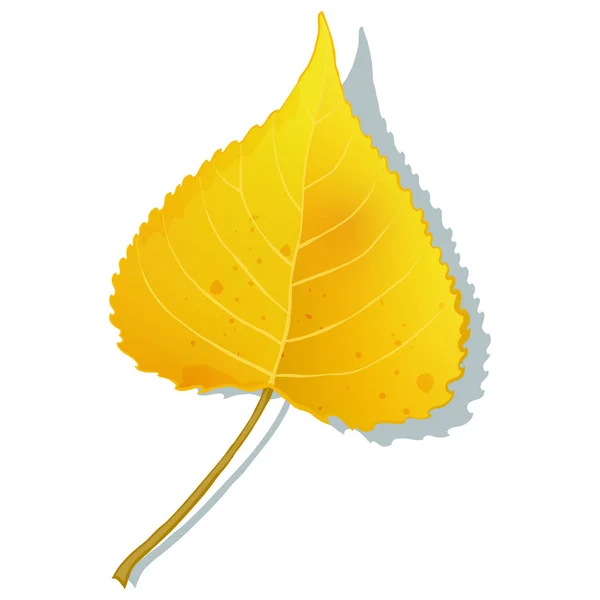 Gold Aspen Leaf Isolated White Background Simple Cartoon Flat Style — Stock Vector