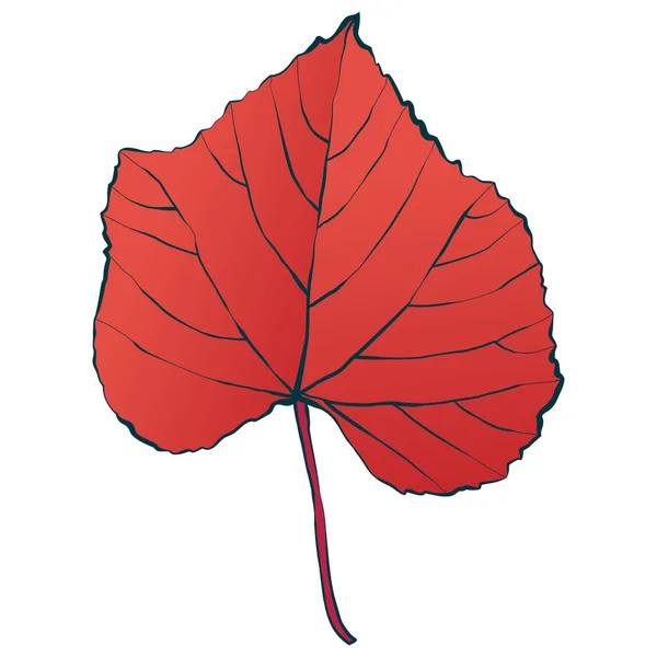 Feuille Érable Rouge Colorée Automne Isolée Sur Fond Blanc Illustration — Image vectorielle