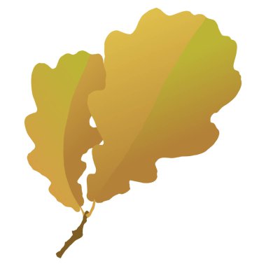 Sonbahar meşe yaprakları beyaz arka planda izole. Basit çizgi film düz biçim vektör çizimi.