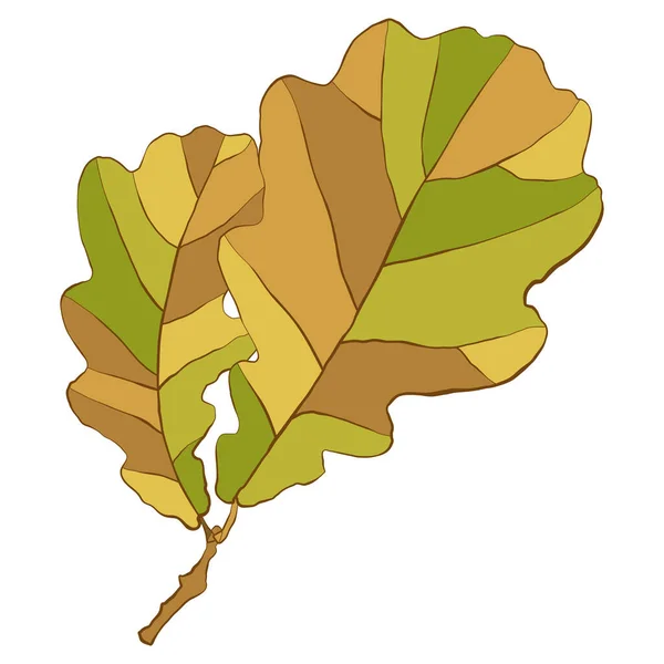 Zwei Goldene Herbsteichenblätter Isoliert Auf Weißem Hintergrund Einfache Vektor Illustration — Stockvektor