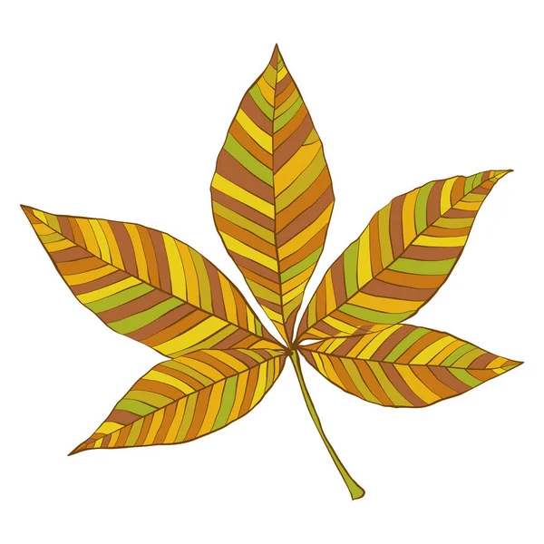 Kaštanové Podzimní Zlaté Listy Siluety Izolované Bílém Pozadí Jednoduchá Ručně — Stockový vektor