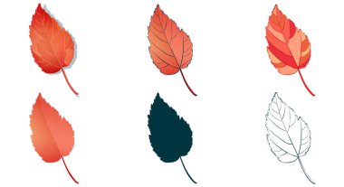 Farklı stillerde çizim yapan büyük vektör sonbahar ağacı şekilleri: elle çizilmiş taslak, siluet, düz, çizgi film beyaz arka planda izole edilir. Kırmızı akçaağaç renkli yaprak bırakır.