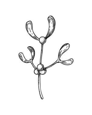 Beyaz arka planda izole edilmiş böğürtlenli el yapımı ökseotu dalı. Noel tasarım unsuru. Robot resim biçiminde vektör illüstrasyonu.