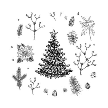 Set of Christmas design elements: decorated fir tree, spruce branches, cones, poinsettia, mistletoe. Design elements for Christmas cards, invitations, decorations. Vector illustration in sketch style vector Set of Christmas design elements: decorated fir tree, spruce branches, cones, poinsettia, mistletoe. Design elements for Christmas cards, invitations, decorations. Vector illustration in sketch style vector