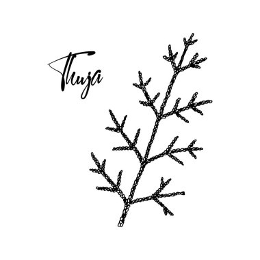 Beyaz arka planda el yapımı haydut dalı var. Robot resim biçiminde vektör illüstrasyonu