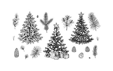 Set of Christmas design elements: decorated fir tree, spruce branches, cones, poinsettia, mistletoe. Design elements for Christmas cards, invitations, decorations. Vector illustration in sketch style vector Set of Christmas design elements: decorated fir tree, spruce branches, cones, poinsettia, mistletoe. Design elements for Christmas cards, invitations, decorations. Vector illustration in sketch style vector