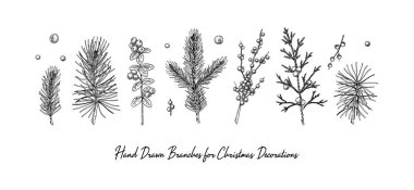 El yapımı Noel bitkileri beyaz arka planda izole edilmiş. Noel süslemeleri. Robot resim biçiminde vektör illüstrasyonu