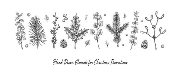 Set of hand drawn Christmas plants isolated on white background. Christmas decoration elements. Vector illustration in sketch style