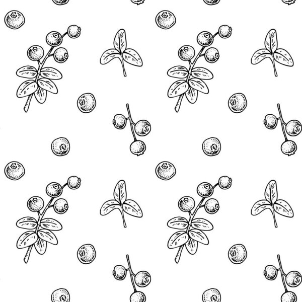 Seamless pattern with hand drawn lingonberry branches and berries isolated on white background. Vector illustration in vintage sketch style