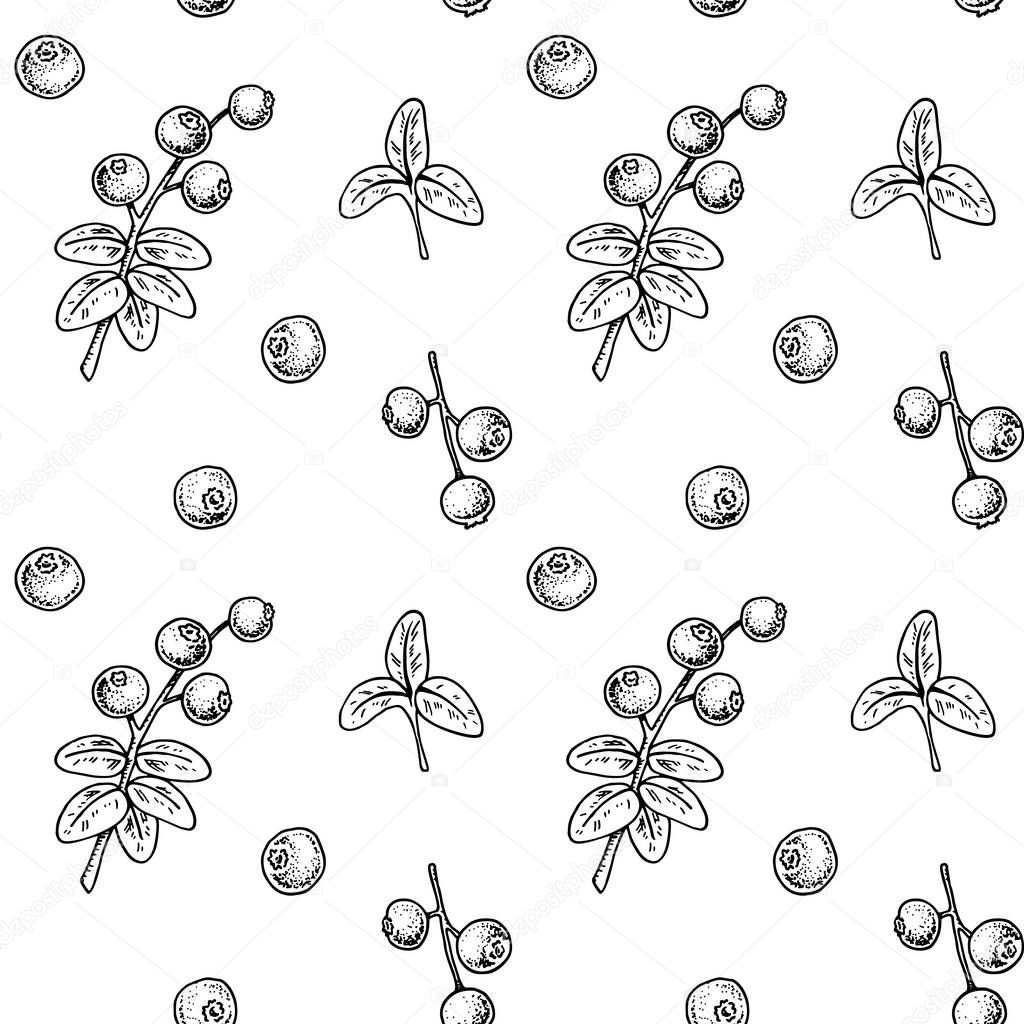 Seamless pattern with hand drawn lingonberry branches and berries isolated on white background. Vector illustration in vintage sketch style
