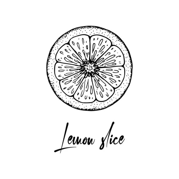 Рука Намальована Скибочка Лимона Ізольована Білому Тлі Векторні Ілюстрації Стилі — стоковий вектор