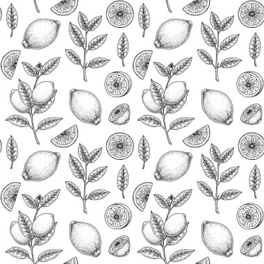 Limon meyveli, yapraklı ve çiçekli el çizimi desenli. Robot resim biçiminde vektör illüstrasyonu