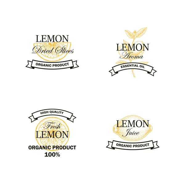 Set Van Citroen Fruit Logo Met Met Hand Getekende Elementen — Stockvector