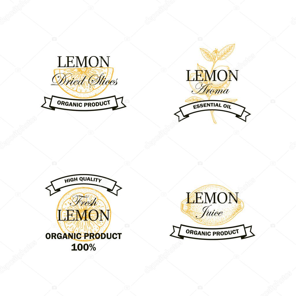 Set of Lemon fruit logo with hand drawn elements isolated on white background. Vector illustration in vintage style