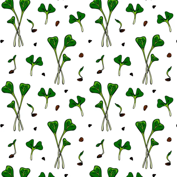 Dibujado Mano Rúcula Micro Verdes Patrón Sin Costuras Ilustración Vectorial — Vector de stock