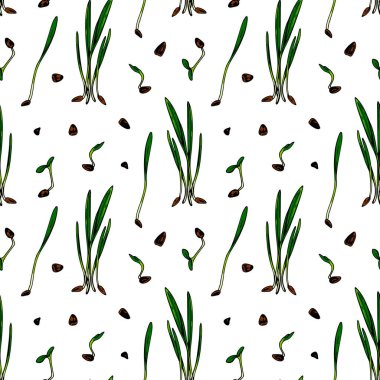 El yapımı arpa, mikro yeşiller, pürüzsüz desenler. Beyaz arkaplanda izole edilmiş renkli çizim biçimi ile vektör illüstrasyonu